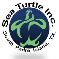 Sea Turtles Are On Their Way To South Padre Island!