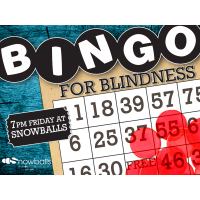 Bingo for Blindness at Snowballs