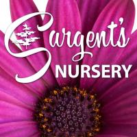 Sargent's Nursery - Pallet Painting