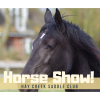 Hay Creek Valley Saddle Club - Pleause & Game Show