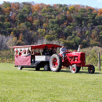 Vino in the Valley's Fall Festival: Swirl, Sip, Savor!