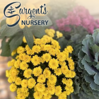 Sargent's Nursery - Fall Planter Workshop