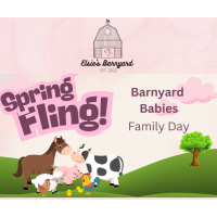 Barnyard Babies - Spring Fling Family Day