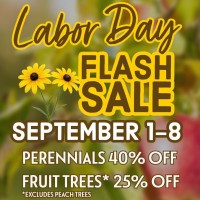 Sargent's Nursery, Inc. - Red Wing