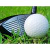 Golf Tournament Raytown Chamber-Rotary 