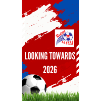 Looking Towards 2026 - Banking & Insurance Sub-Committee