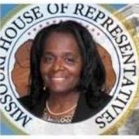 District 28 Town Hall Meeting w/ Rep. Donna Barnes