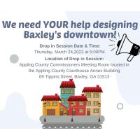 Downtown Development Authority of Baxley's Community Wide Input Session