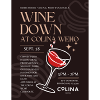 Homewood Young Professionals Wine Down at Colina WeHo
