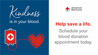 American Red Cross Blood Drive