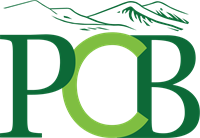 PCB