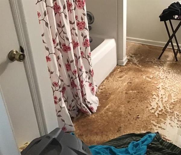 This was the aftermath of a bathroom flood in Harrisonburg when we arrived on the scene. There was significant water and residue damage. The owner could not believe how quickly our specialized technicians were able to drain and clean the bathroom. We make disasters "Like it never even happened." 
