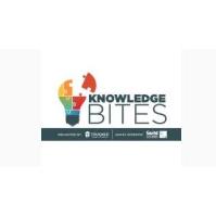 Knowledge Bites- Engaging the Generations in the Workplace