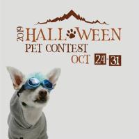 Halloween Pet Photo Contest