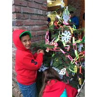 Downtown Holiday Festival & Bud Fish Tree Lighting
