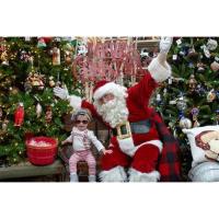 Photos with Santa and Ornament Making with Mrs. Claus