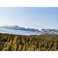 Tahoe Film Festival
