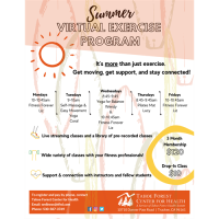 Summer Virtual Daily Exercise Program 