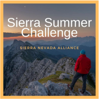 Sierra Summer Challenge