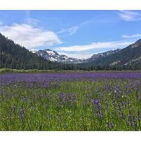 Guided Hike of Lower Carpenter Valley
