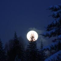 Full Moon Snowshoe Tour Above Donner Lake