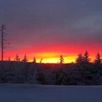 Valentine’s Day Sunset Snowshoe Tour