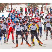 Skogsloppet Cross Country Ski Race