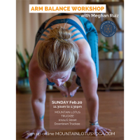 Arm Balance Workshop with Meghan Ruiz