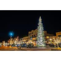 Downtown Holiday Festival and Bud Fish Tree Lighting Ceremony