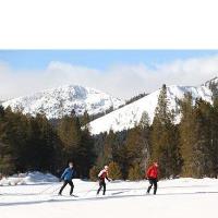 Saturday Morning Skills Clinic: Classic Skiing with Glenn Jobe
