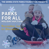 Parks For All Holiday Auction Throughout November!