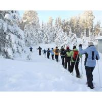 Daytime Snowshoe Tours!