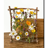 Weaving with the Wild: A Community Art Workshop