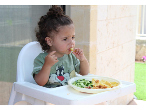 Raising Healthy Eaters-Toddler Edition!