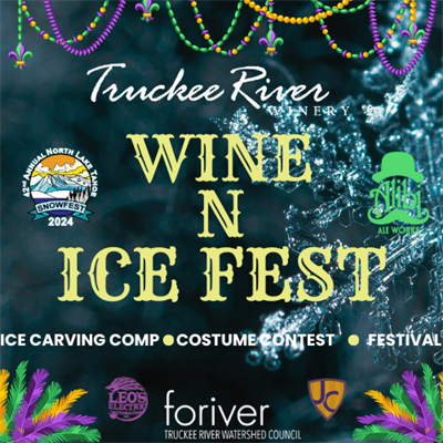 Wine N Ice Fest-16th Annual Ice Carving Competition