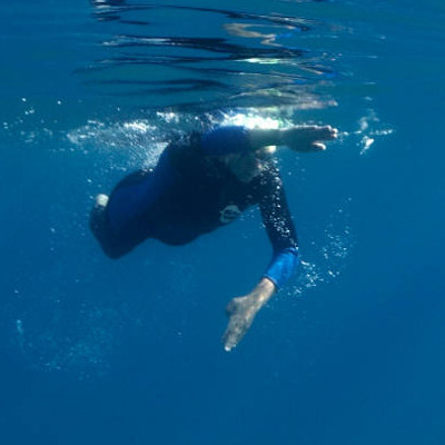 Swim in the Clear Waters of Donner Lake and Lake Tahoe