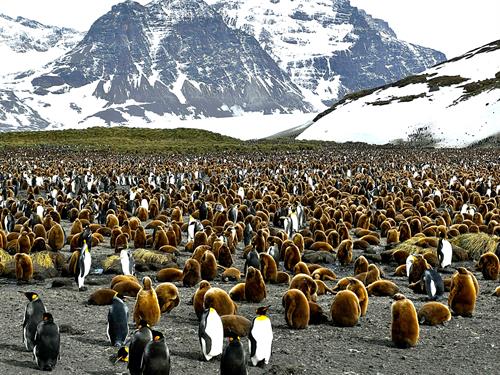 South Georgia Island