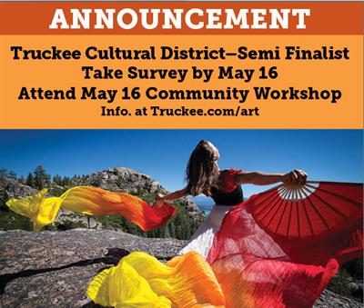 Truckee Arts Alliance Community Workshop