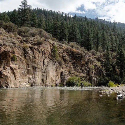 Gallery Image tco-truckee-river-canyon-floriston-farad.jpeg