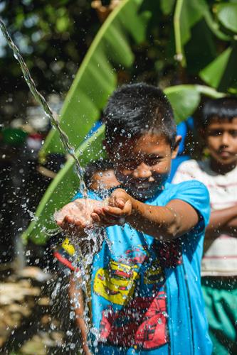 Gallery Image DSC_0249.jpg