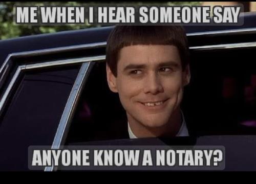 Gallery Image Dumb_and_Dumber_Meme.JPG