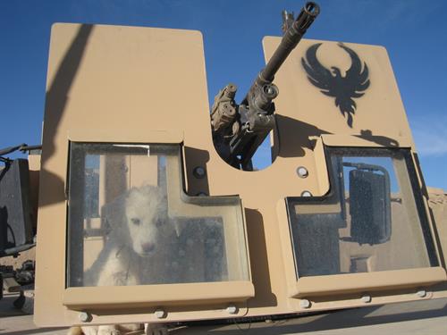 Veteran-Led Service Dedicated to Helping Every Veteran Succeed