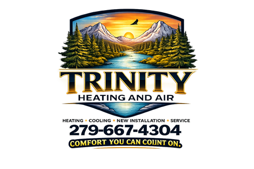 Gallery Image Trinity_Logo_Transparent-2.png