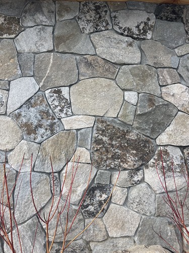 Random Mosaic