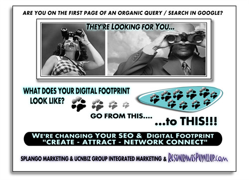 WHAT DOES YOUR DIGITAL FOOTPRINT LOOK LIKE? Are you visible in Mobile & Organic Search Query?