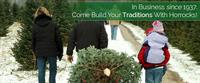 HORROCKS Christmas Trees - A Family Tradition !!
