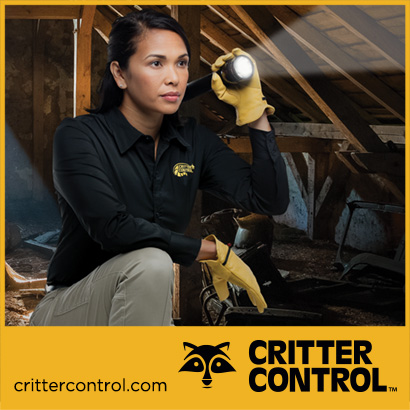 Soiled Attic Cleanup, attic insulation and microbial services Soiled Attic Cleanup, attic insulation and microbial services
