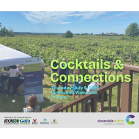 Networking in the VIneyard @ Vinoscenti Vineyards