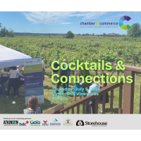 Networking in the VIneyard @ Vinoscenti Vineyards