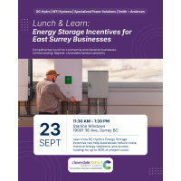 Lunch & Learn: Energy Storage Incentives for East Surrey Businesses